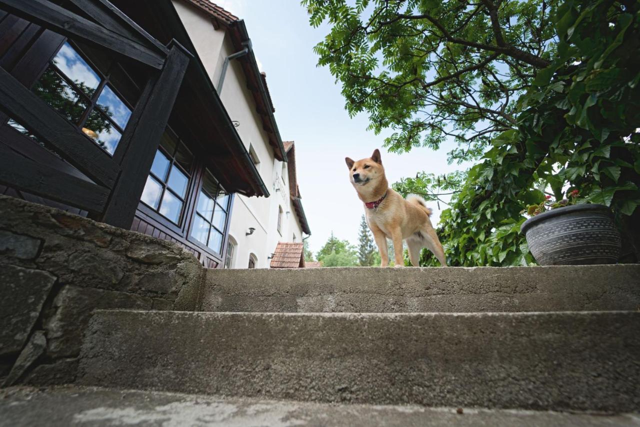 Penzion Onyx Český Krumlov Εξωτερικό φωτογραφία
